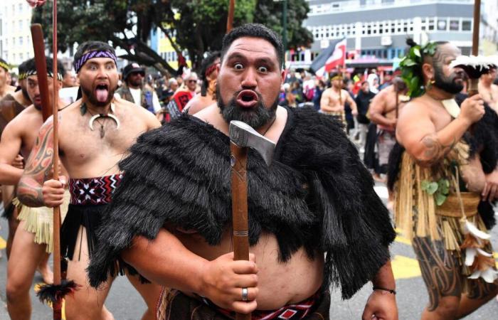 À Wellington, en Nouvelle-Zélande, des milliers de personnes manifestent pour les droits des Maoris