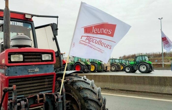 Des baguettes de pain sans origine découvertes dans un camion, selon la FDSEA de l’Oise