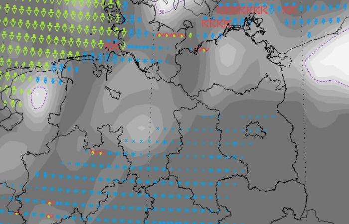 Météo hivernale : la neige frappe le nord de l’Allemagne, une tempête est attendue dans le sud