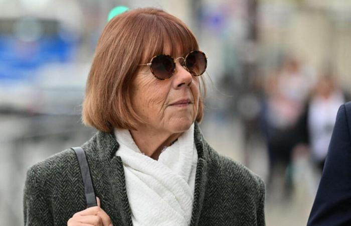 Gisèle Pelicot dépeint le « procès de la lâcheté » pour sa dernière prise de parole