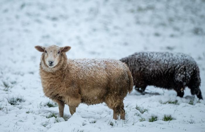 avertissement de neige pour un « premier avant-goût de l’hiver »