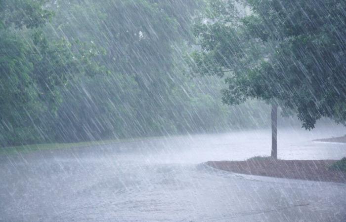 Météo France met pas moins de 70 départements en alerte en cas de pluie, de vent ou d’inondations.