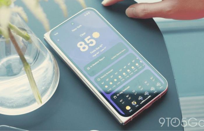 Pixel Weather déploie le comptage de pollen et les vibrations « immersives »