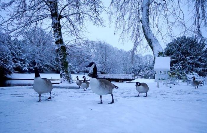 Le Royaume-Uni frissonne alors que le temps neigeux arrive