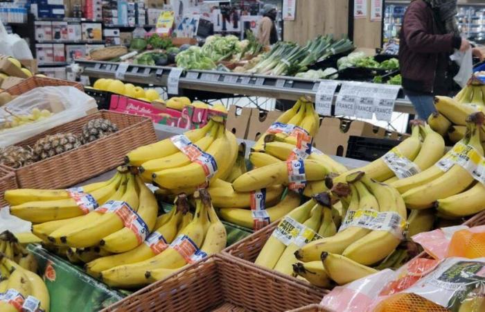 Pont-à-Mousson. Pourquoi Intermarché cessera de vendre des fraises et des cerises cet hiver