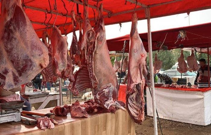 L’arrivée des cargaisons importées fait baisser les prix de la viande rouge à Casablanca