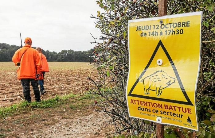 dans le Finistère, des mesures pour une régulation accrue