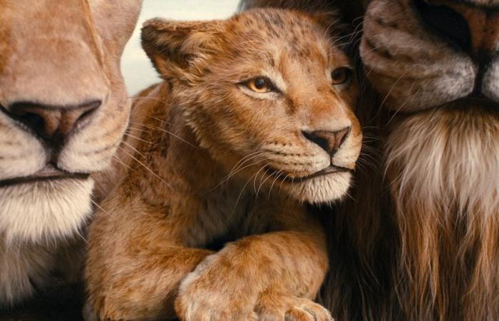 La bande-annonce finale de “Mufasa : Le Roi Lion” présente une aventure épique : regardez ici