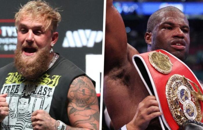 après Mike Tyson, le YouTuber Jake Paul défié par le champion du monde IBF des poids lourds Daniel Dubois