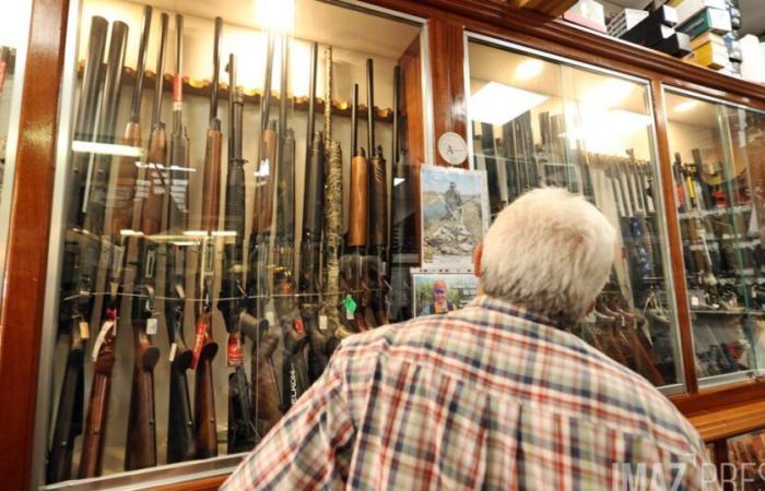 Les 20 000 armes présentes à La Réunion doivent toutes être enregistrées avant le jour de l’An