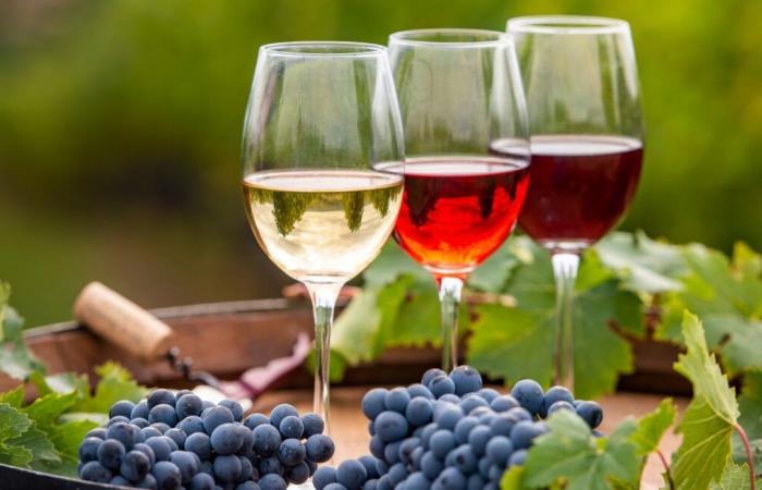 Record atteint après la vente aux enchères d’une bouteille de vin pour 11 000 euros