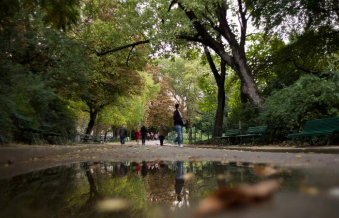 espaces verts et cimetières fermés ce mardi après-midi, fortes rafales de vent attendues