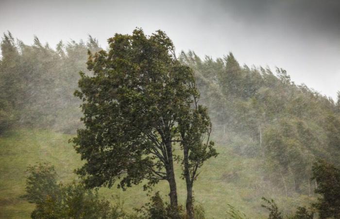 Coups de vent, pluie, inondations… 70 départements placés en alerte ce mardi