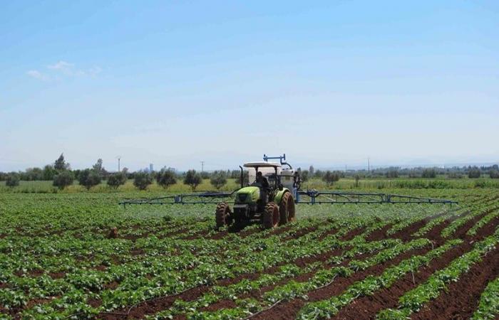 Focus sur les exportations agricoles