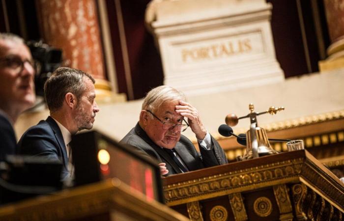 le Sénat tire lourdement sur les macronistes