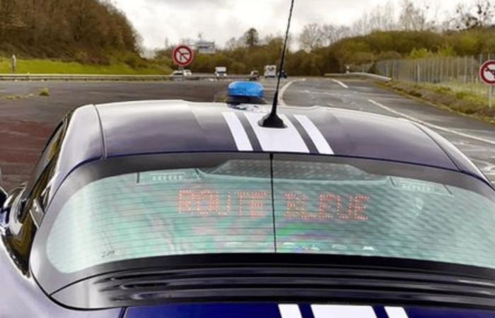 Flashé à 219 km/h au volant de sa Tesla, il refuse d’obtempérer à la police