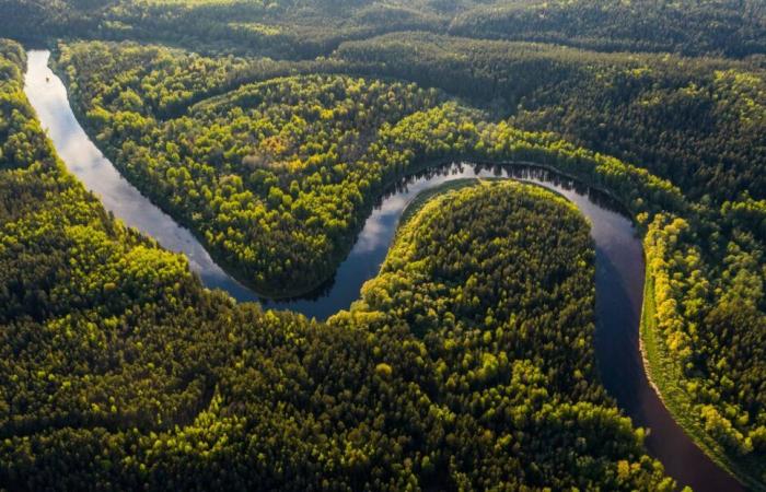 le premier vol direct entre l’Europe et Manaus