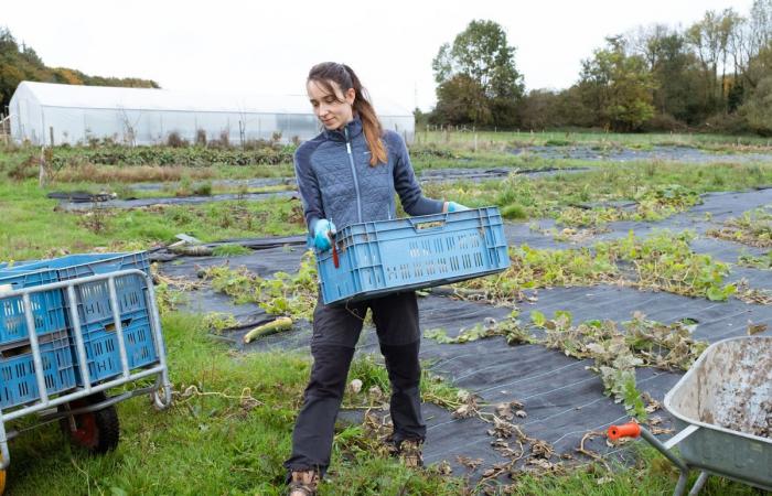 Pour renforcer l’agriculture paysanne, des volontaires belges investissent les champs