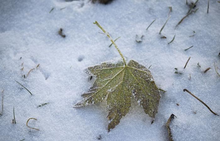 Les premières neiges sont attendues en plaine mercredi