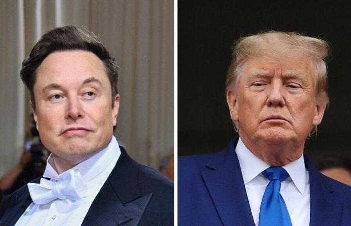 La romance Musk-Trump peut-elle durer ?