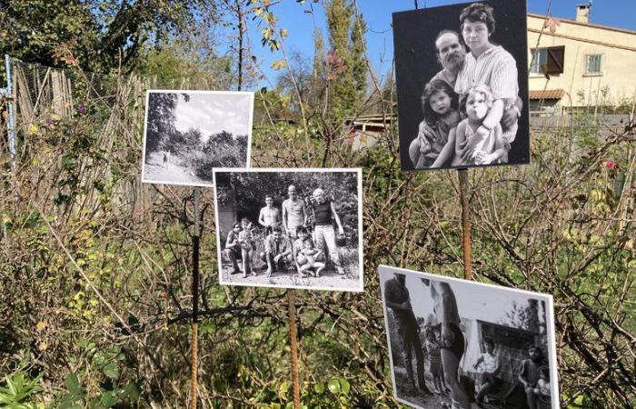 Aux Jardins Solidaires de Nîmes, Marc Pataut et la mémoire de « Ceux du terrain » avant le Stade de France