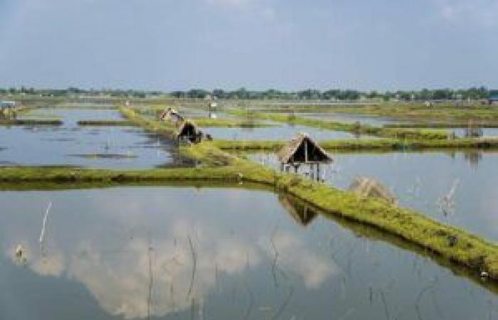 Quel est l’impact de l’aquaculture durable sur l’environnement ?