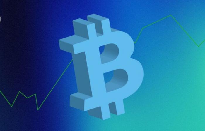 Bitcoin (BTC) à 1 million de dollars d’ici fin 2025 ? La folle prédiction de cet investisseur