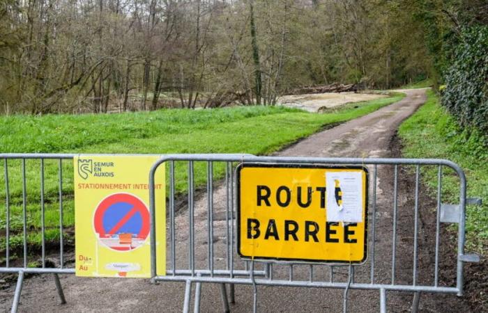 vers une éventuelle crue de l’Armançon ?