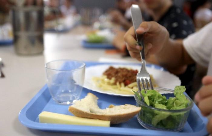 Alors que les Restos du cœur axent leur nouvelle campagne sur les enfants, un quart d’entre eux déclarent ne pas prendre trois repas par jour