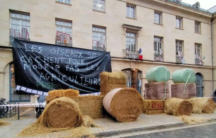 paille et panneaux posés près de la place Stanislas