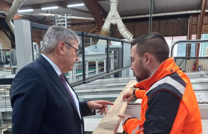 J’ai juré. Filière bois dans le Jura : comment préparer l’avenir face au changement climatique ?