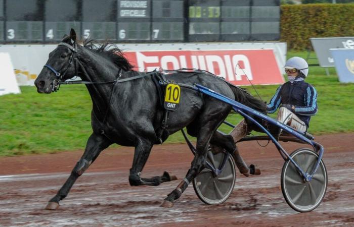 Iguski Sautonne préféré de Cédric Bloquet