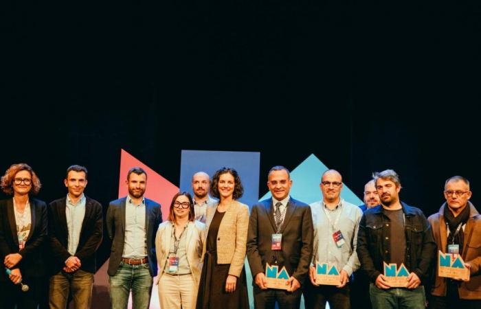 construction bas carbone, solide représentant des Landes