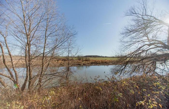 Élégant cottage bordant un plan d’eau dans un contexte de tranquillité champêtre