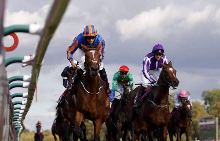 Équitation. Trois chevaux meurent le même jour de course en Angleterre