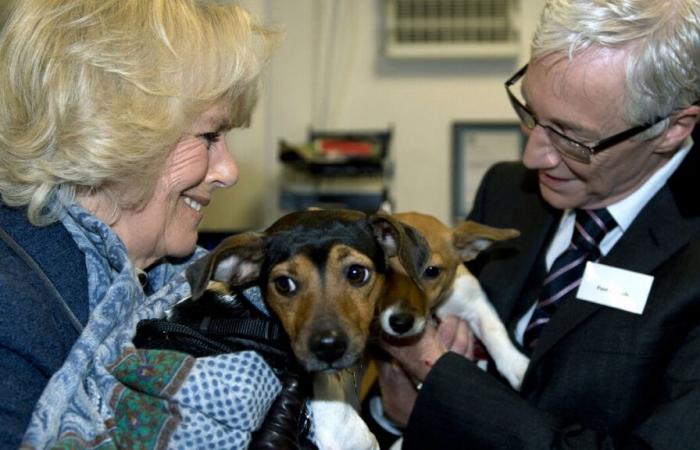 La famille royale britannique annonce le décès de Beth, l’une des chiens de la reine Camilla