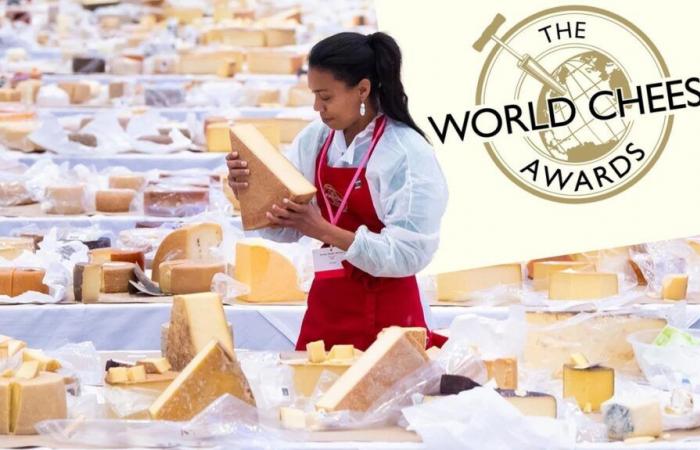 Voici les meilleurs fromages du monde, et il y a des suisses