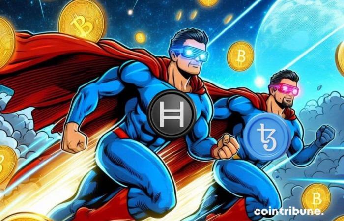 Hedera et Tezos atteignent de nouveaux sommets !