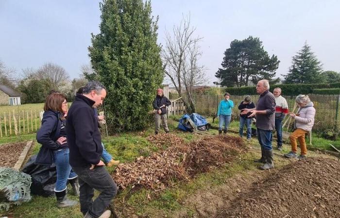 Des stages pour apprendre les techniques de permaculture et d’électroculture en Loire-Atlantique