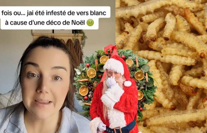 Une Québécoise raconte que sa maison était infestée de vers à cause d’une terrible guirlande de Noël