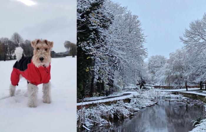 Les meilleures photographies des téléspectateurs alors que la neige frappe les Midlands