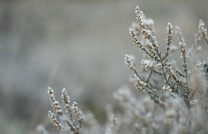 Le Sud-Ouest voit son « premier avant-goût de l’hiver » alors que la neige tombe à Bristol