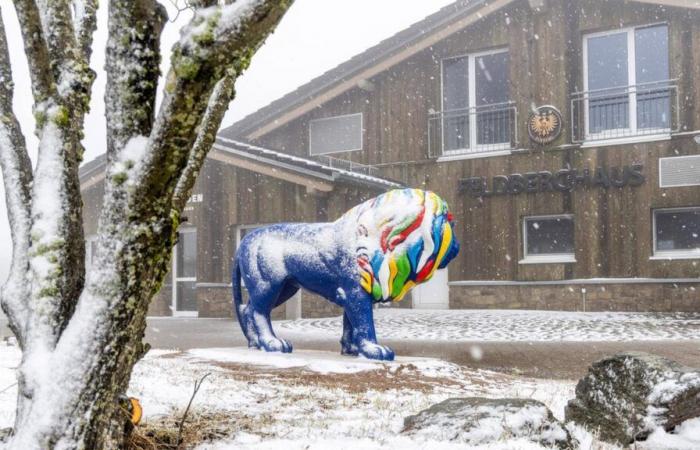 Après les tempêtes et la pluie vient la neige