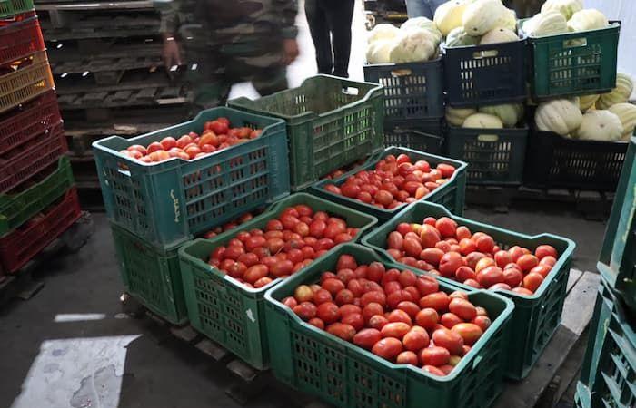 Une hausse de 146 % des prix des tomates en un an