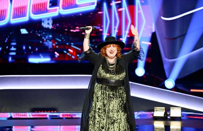 Aperçu du Top 20 des Playoffs de The Voice 26 (Photos, Vidéo)