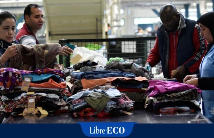 « L’abbé Froidure doit se retourner dans sa tombe » à la vue de la crise aux Petits Riens