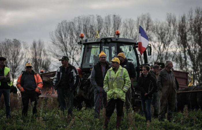 Sous la pression de ses agriculteurs, la France mène la révolte contre le libre-échange avec les pays du Mercosur