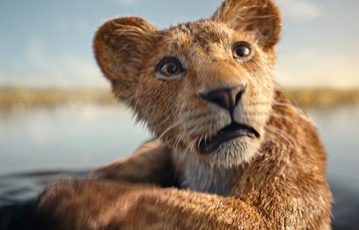 La bande-annonce finale de “Mufasa : Le Roi Lion” présente une aventure épique : regardez ici