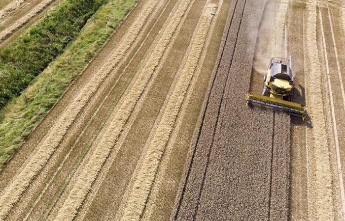 Une année très contrastée pour l’agriculture suisse