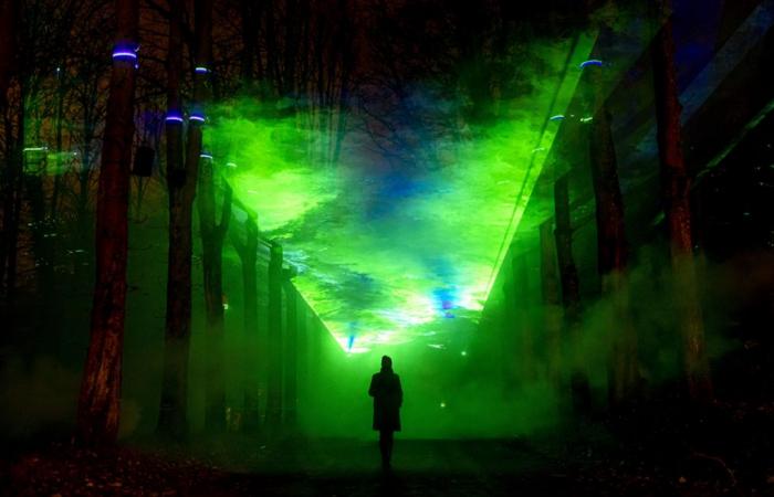 4th edition of Lumières en Seine at Domaine de Saint-Cloud (92) until January 12, 2025